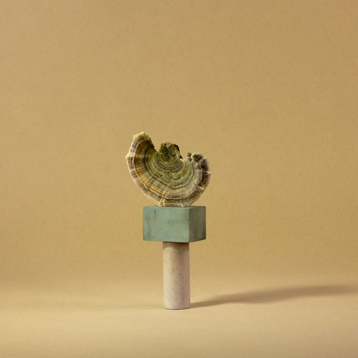 Rich and reverberant; digital and analogue fuse to create organic landscapes.